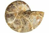 Jurassic Cut & Polished Ammonite Fossil (Half)- Madagascar #215999-1